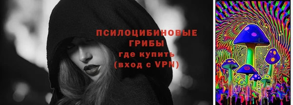 амф Богородск